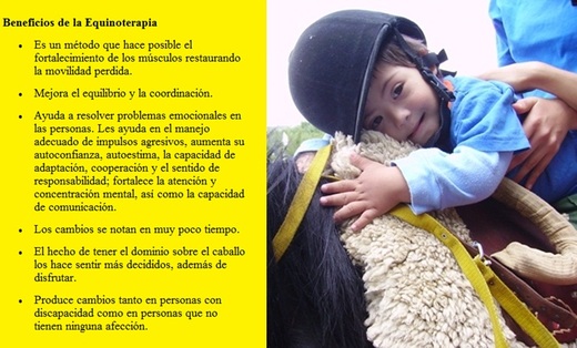 Equinoterapia